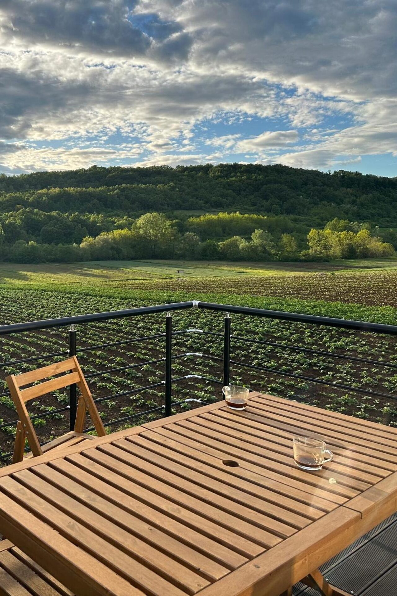 Balkon sa pogledom na prirodu Sokobanje u privatnom smeštaju Agro Lux.