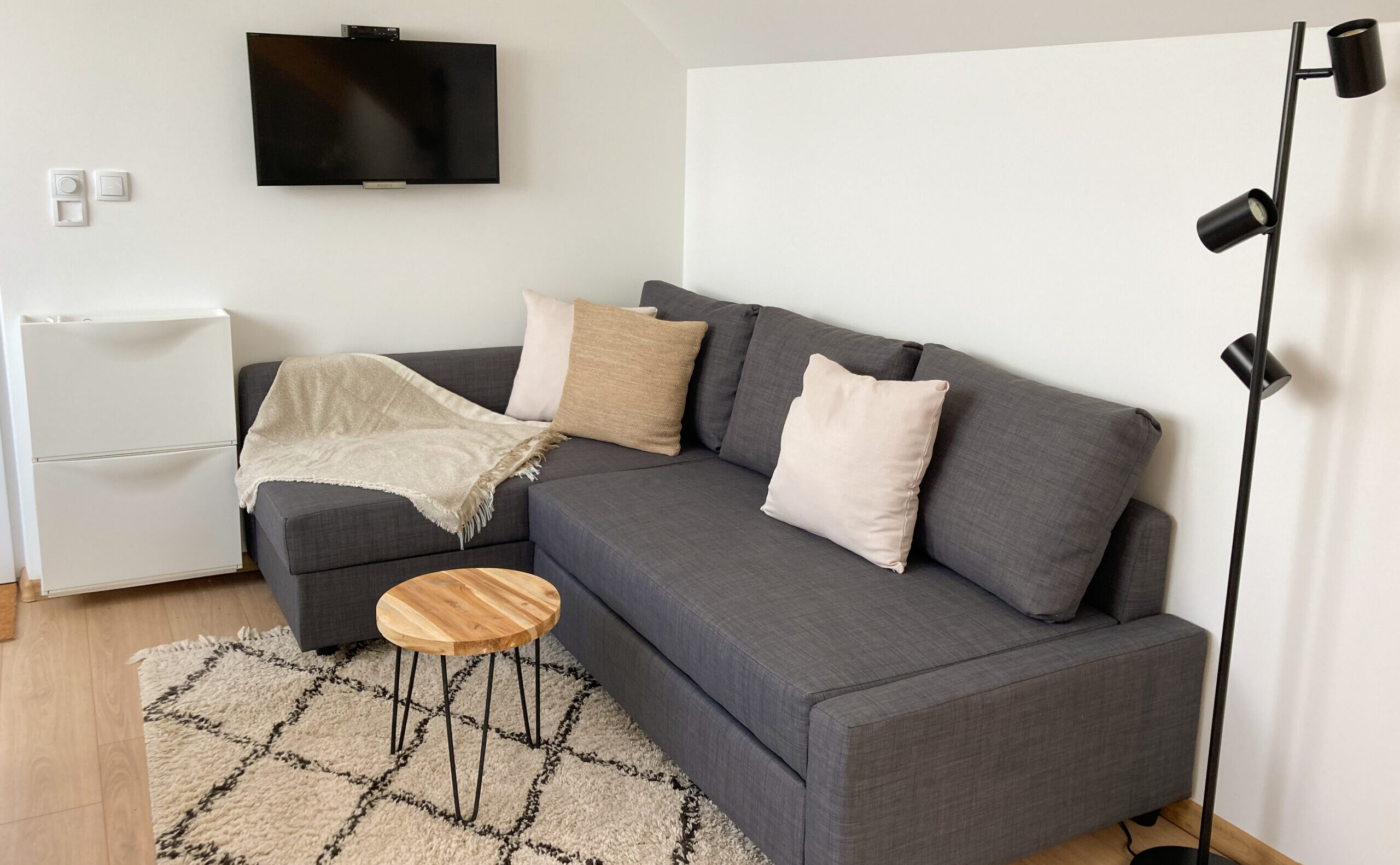 Dnevna soba Agro Lux apartmana sa TV i sofom koja može poslužiti kao dodatni ležaj, blizu Sokobanje i Vrmdže.