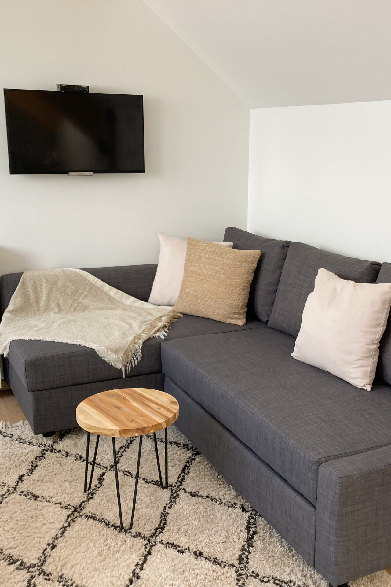 Privatan smeštaj blizu Sokobanje i Vrmdže – udobna dnevna soba apartmana Agro Lux.