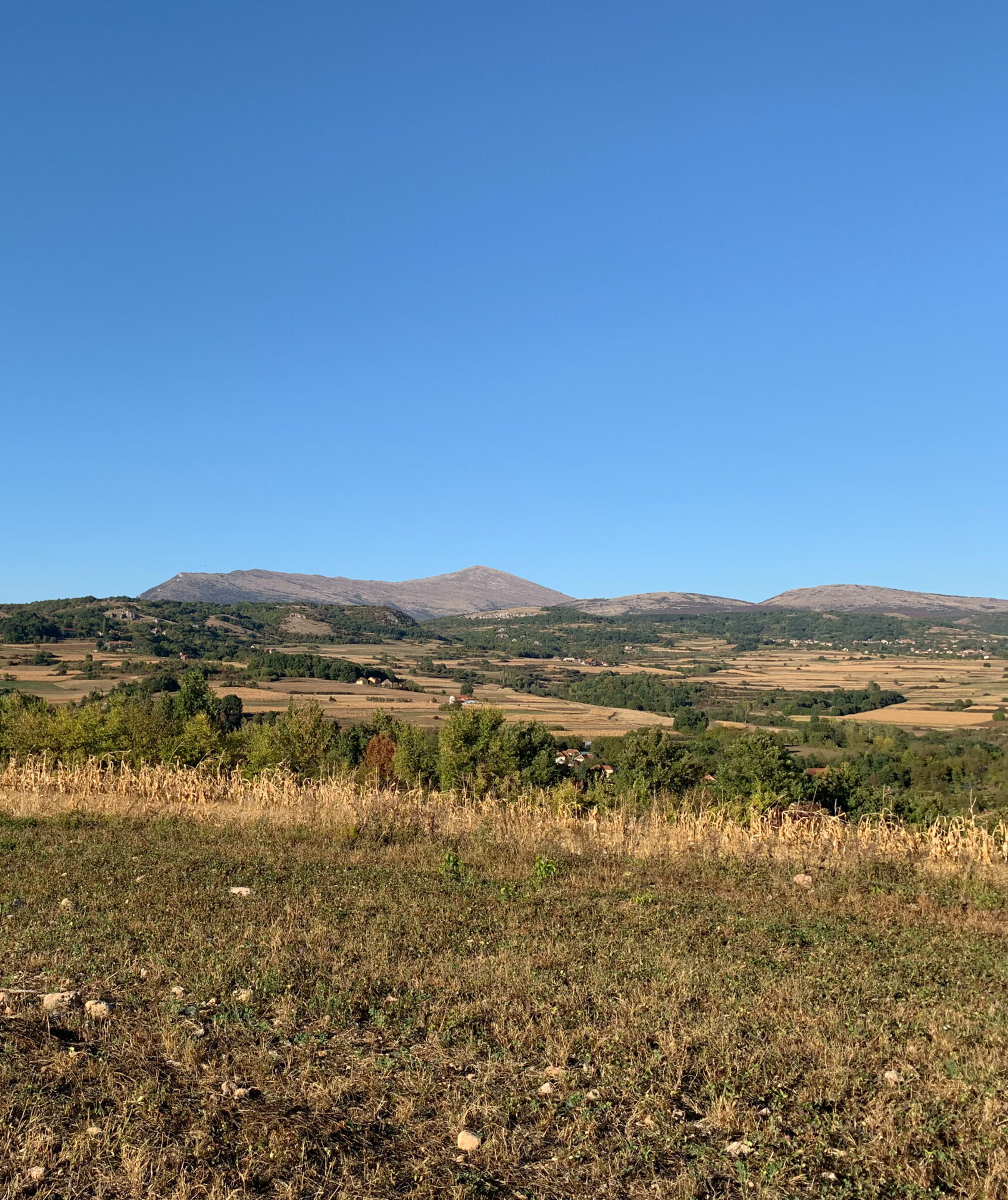 Prekrasan pogled sa Agro Lux apartmana na polja i prirodne predele, blizu Sokobanje i Vrmdže.